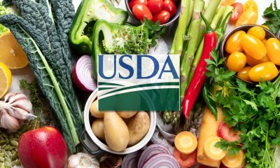 USDA cancels local food purchasing for schools and food banks 2025